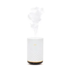 Air Sonic Elektrischer Aroma-Diffusor Elegance^Depot Hot