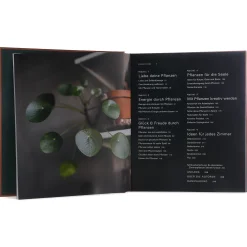 Buch Plant Tribe^Depot Cheap