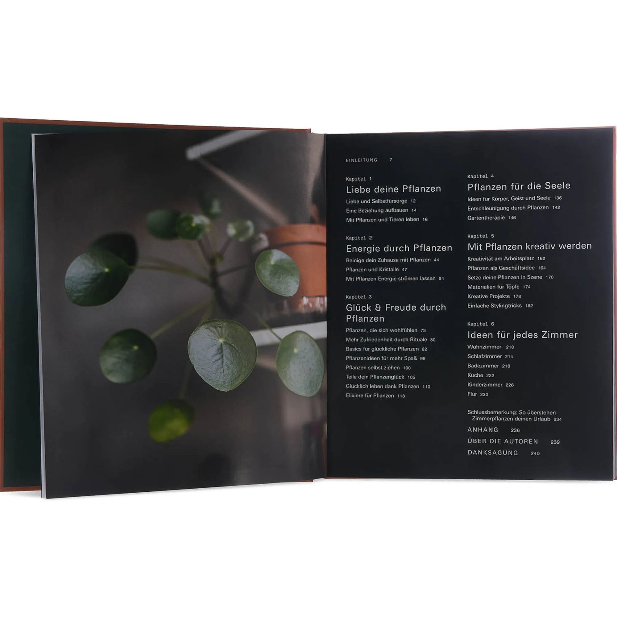 Buch Plant Tribe^Depot Cheap