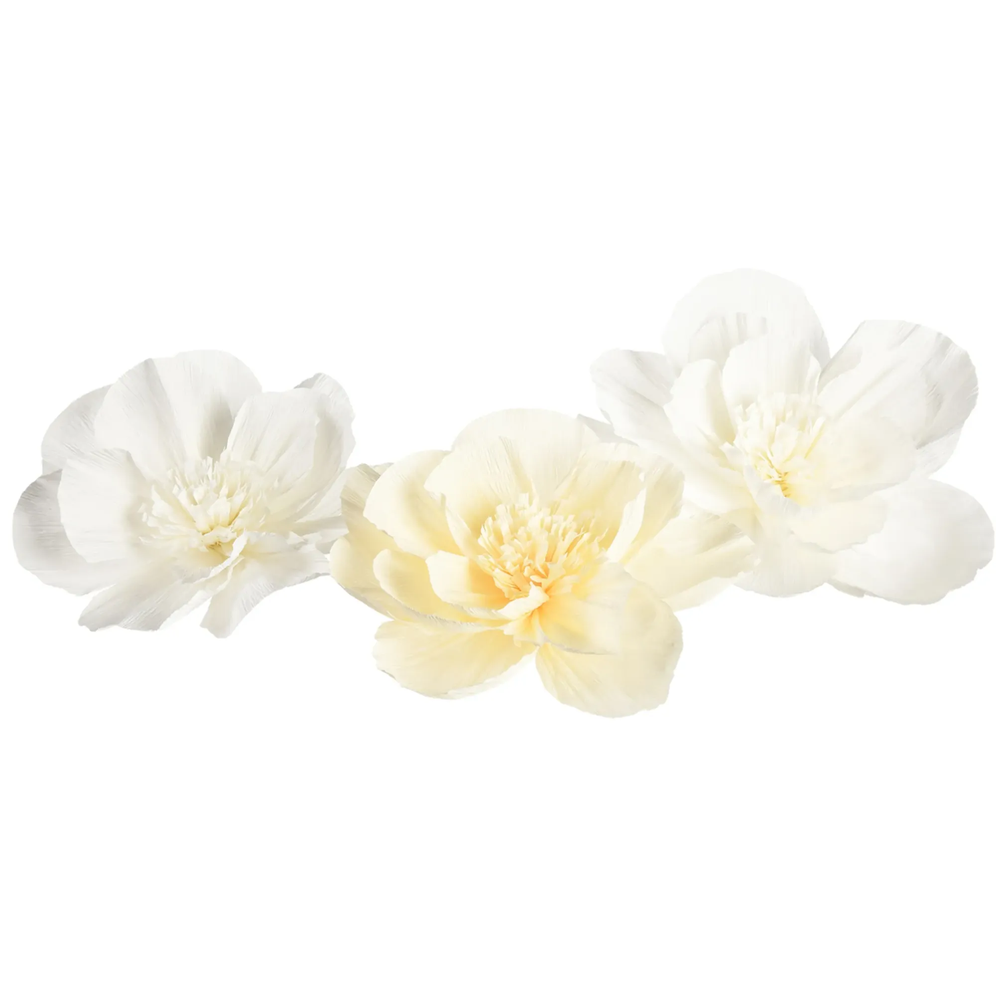 Sale Depot Crepepapierblumen-Set