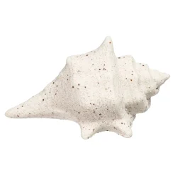 Deko-Objekt Muschel^Depot Flash Sale