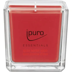 Flash Sale Depot Essentials Duftkerze Winter Apple