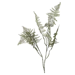 Farnzweig 88Cm, Grun^Depot Online