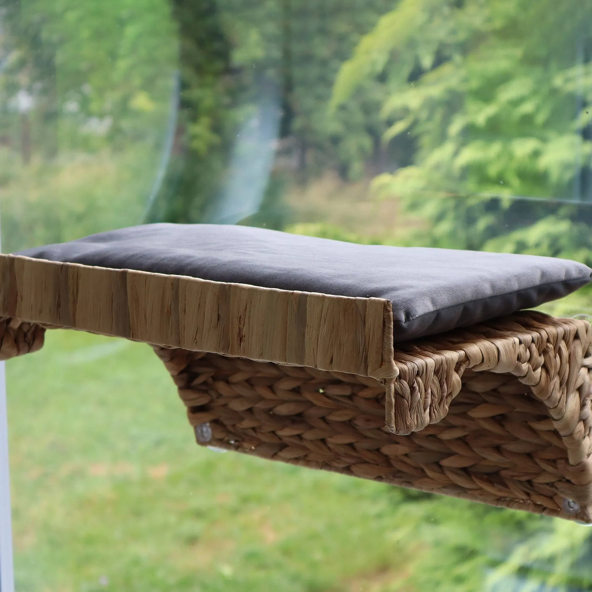 Fensterliege Comfort Mit Saugnapfen^Depot Best