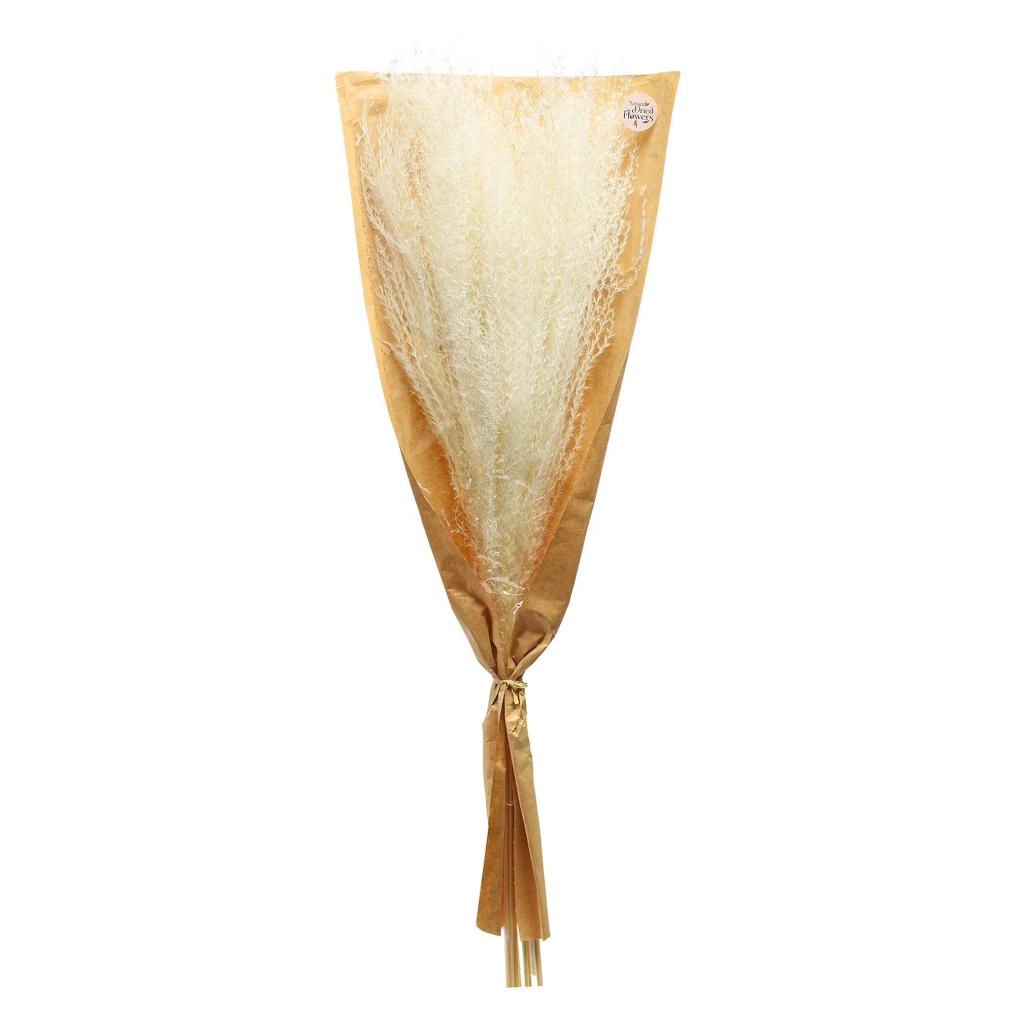 Glitzer-Trockenblumen-Bundel Miscanthus^Depot Store