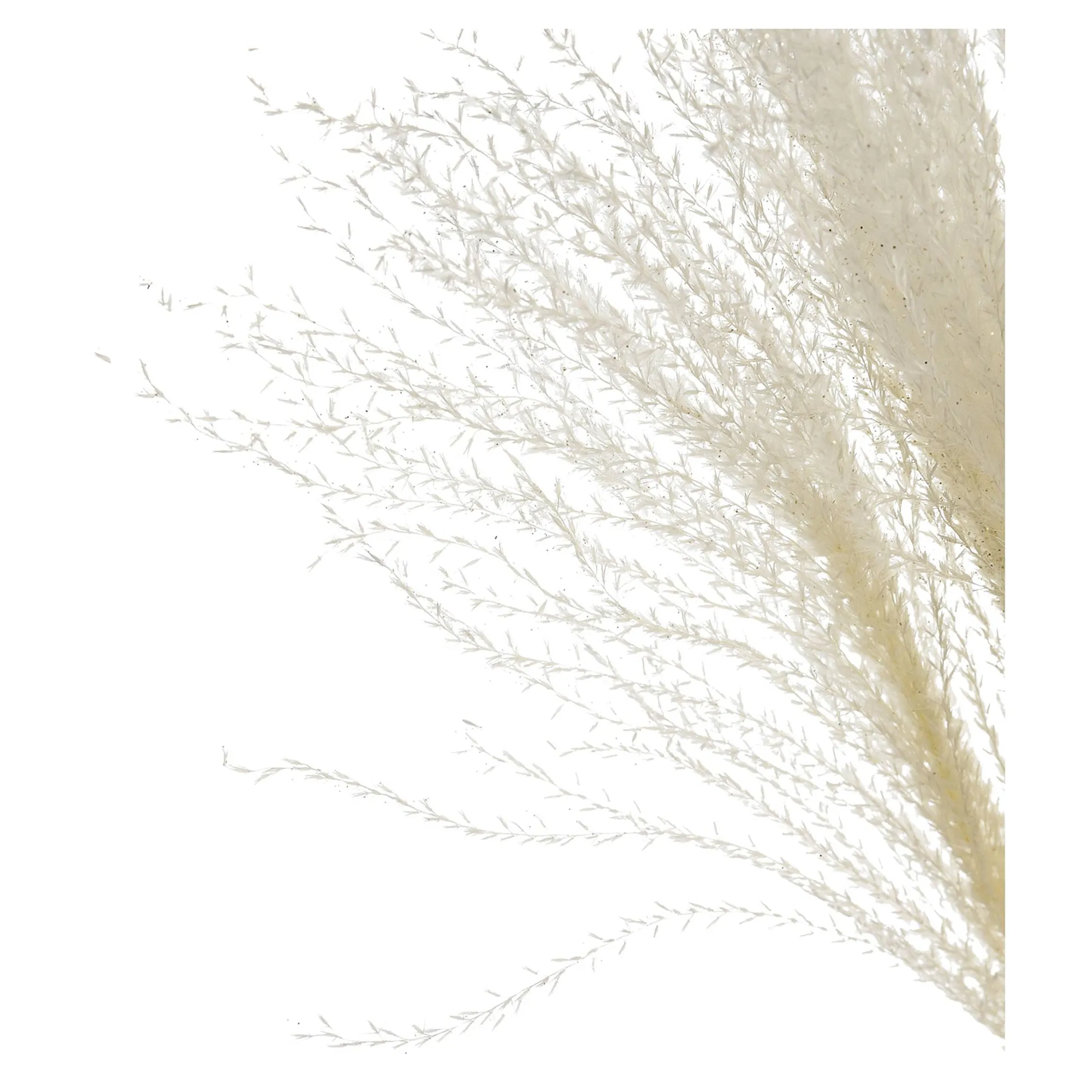 Glitzer-Trockenblumen-Bundel Miscanthus^Depot Store