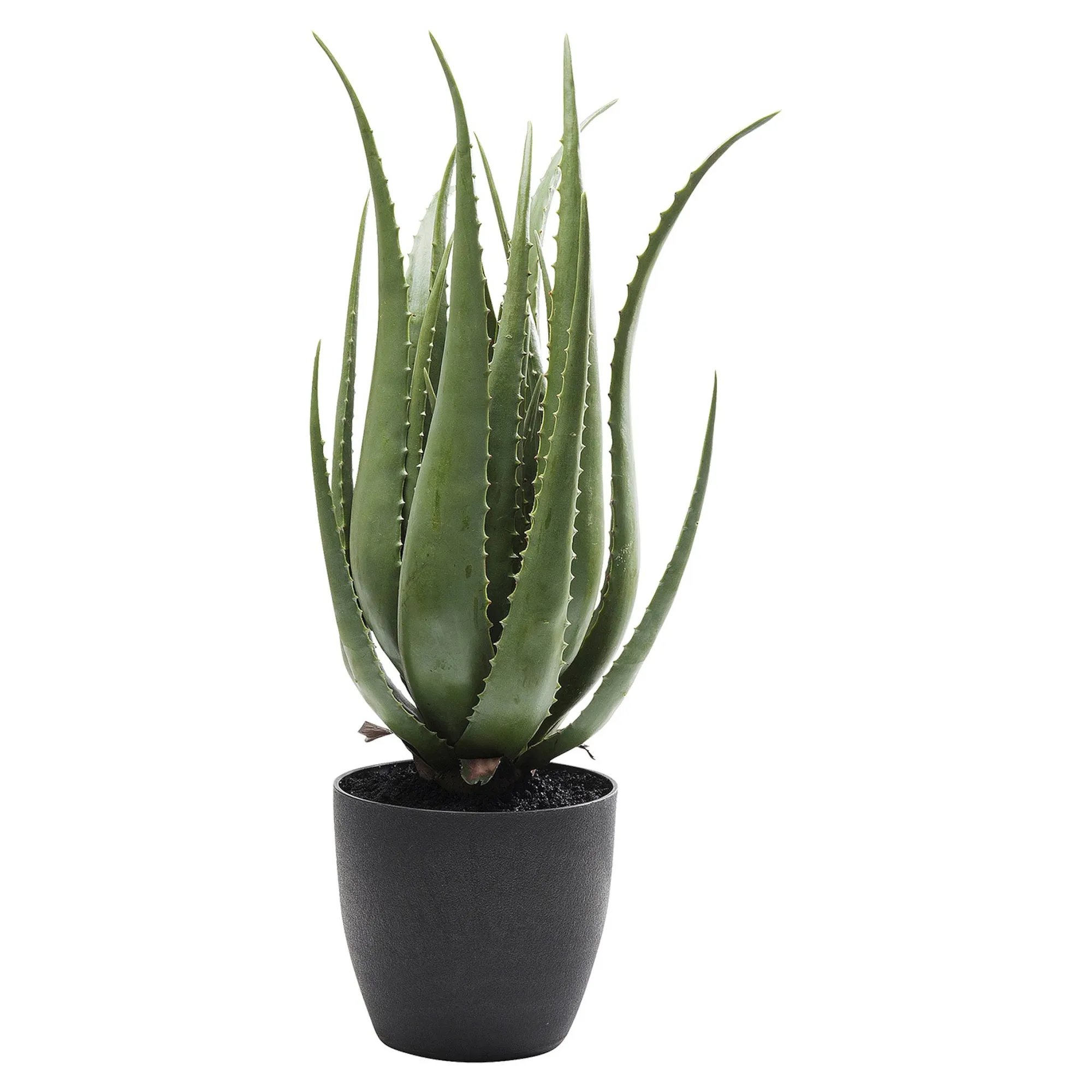 Kare Kunstpflanze Aloe Im Topf^Depot Sale