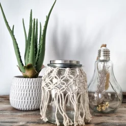 Flash Sale Depot Kare Kunstpflanze Aloe Im Topf