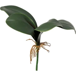 Hot Depot Kunstblatt Orchidee