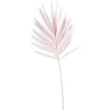 Discount Depot Kunstblatt Palme