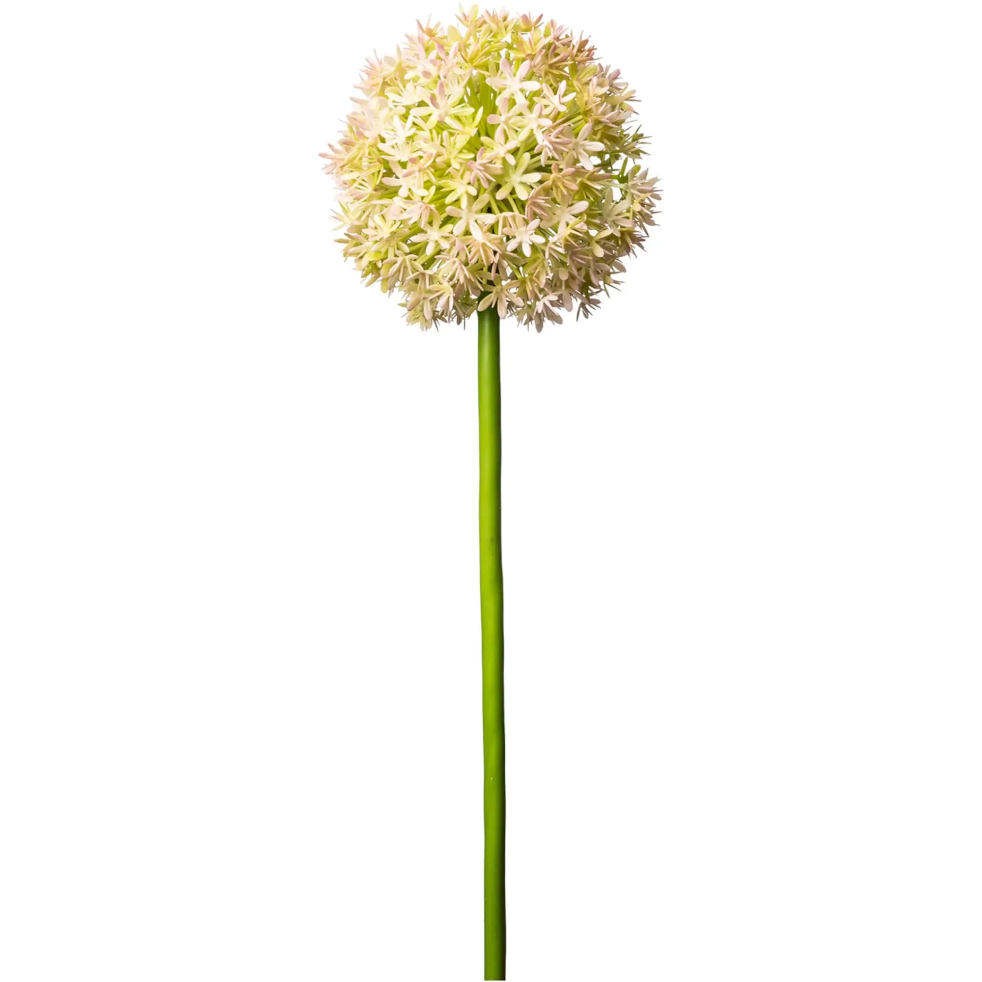 Clearance Depot Kunstblume Allium