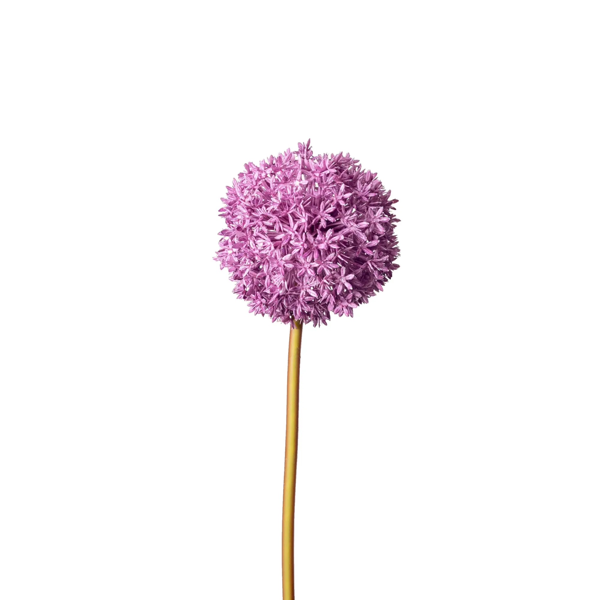 Store Depot Kunstblume Allium