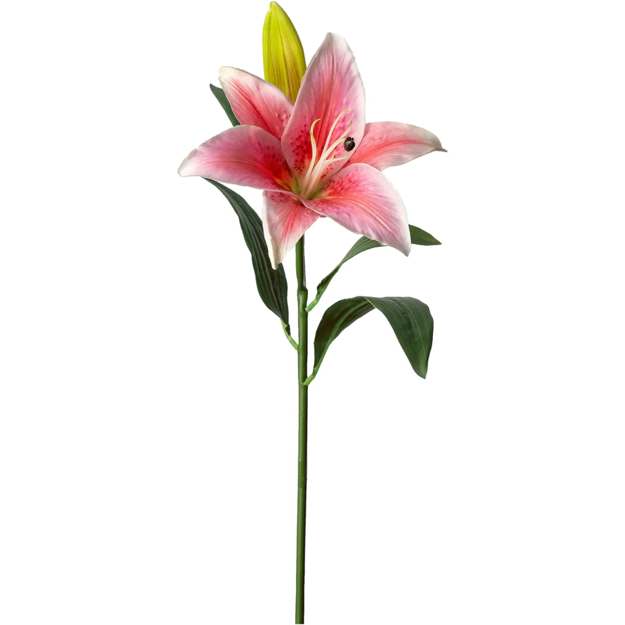 Online Depot Kunstblume Lilie