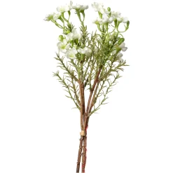 Shop Depot Kunstblumenbund Wachsblume
