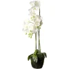New Depot Kunstblume Orchidee Phalaenopsis In Erde