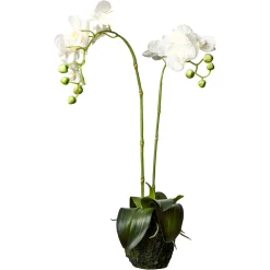 Best Sale Depot Kunstblume Orchidee Phalaenopsis In Erde