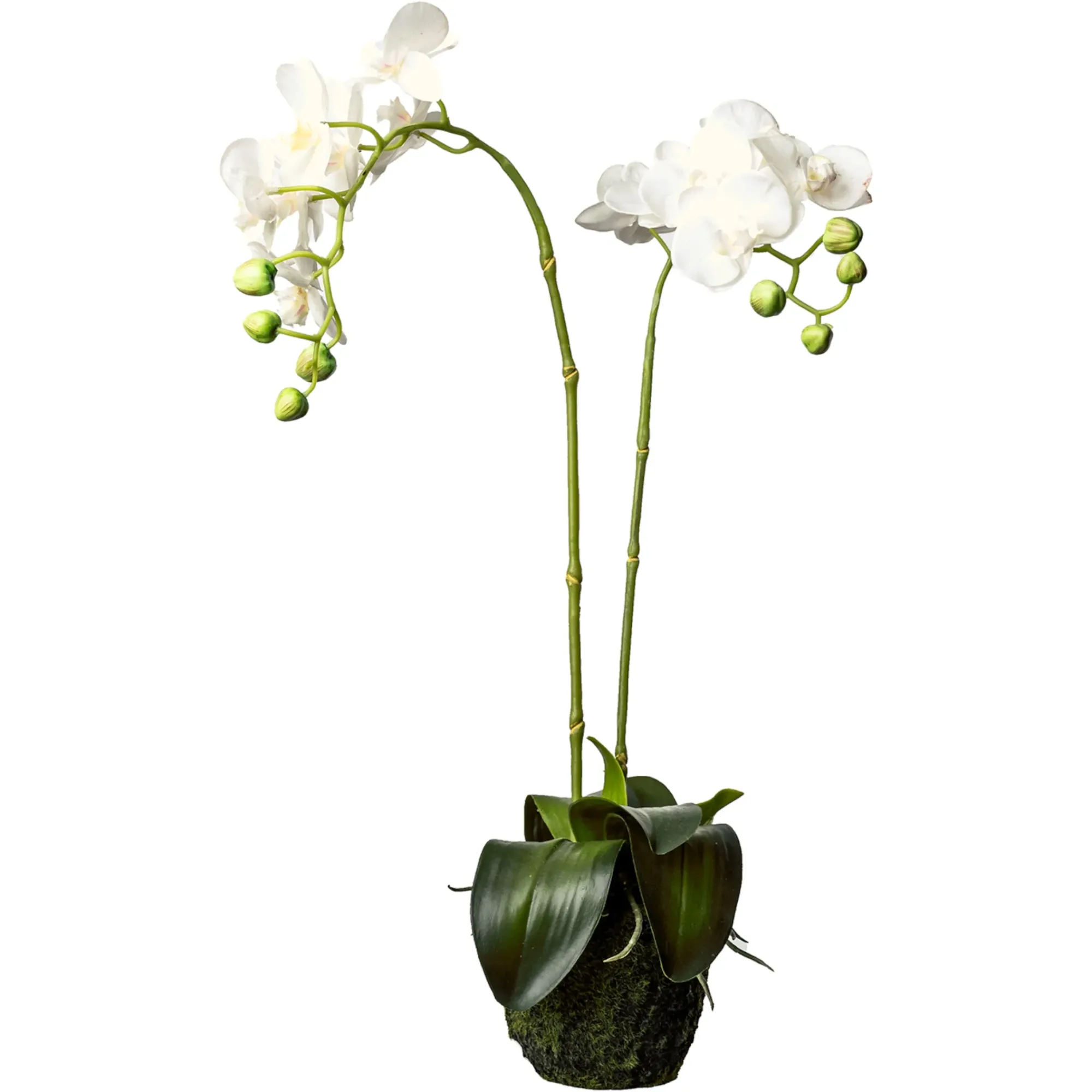 Best Sale Depot Kunstblume Orchidee Phalaenopsis In Erde