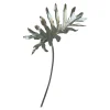 Kunstblume Philoblatt^Depot Clearance