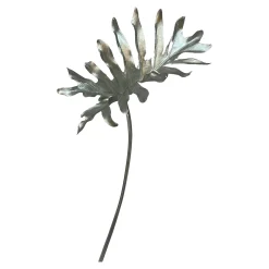 Kunstblume Philoblatt^Depot Clearance