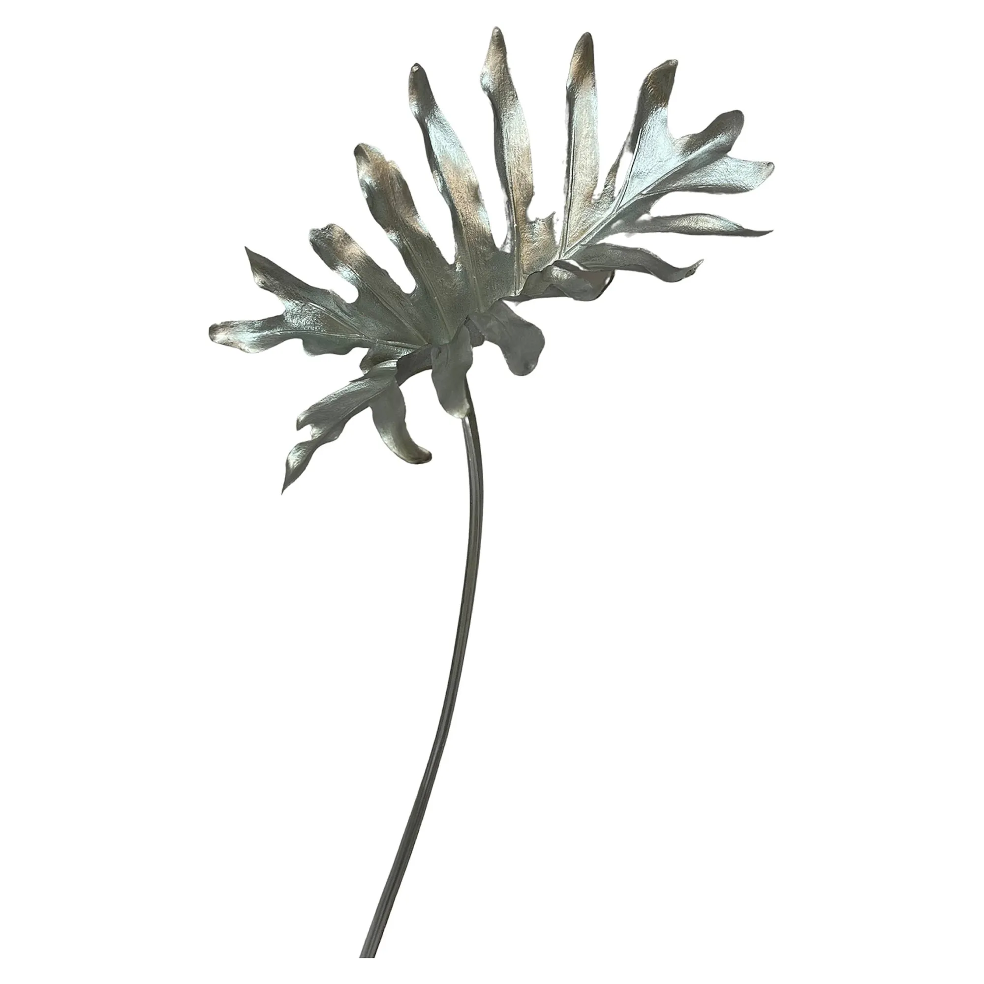 Kunstblume Philoblatt^Depot Clearance