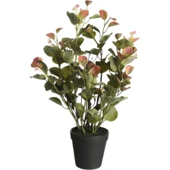Shop Depot Kunstpflanze Eukalyptus Im Topf
