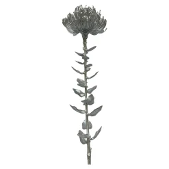 Kunst-Stielblume Protea Ca. 67Cm^Depot Hot