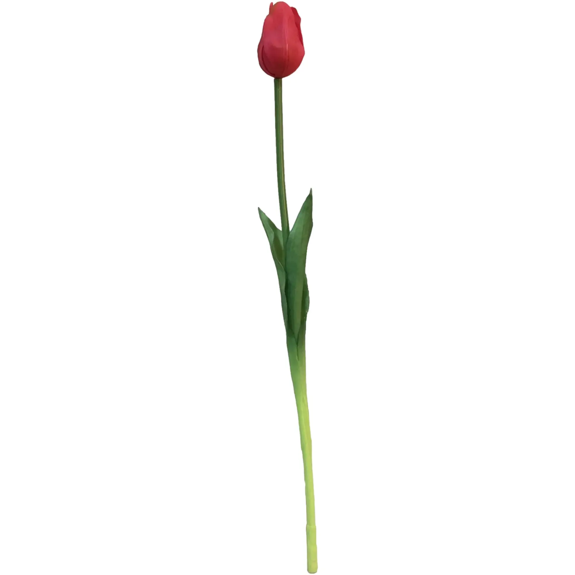 Hot Depot Kunst-Stielblume Tulpe