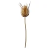 Kunst-Zweig Distel^Depot Flash Sale
