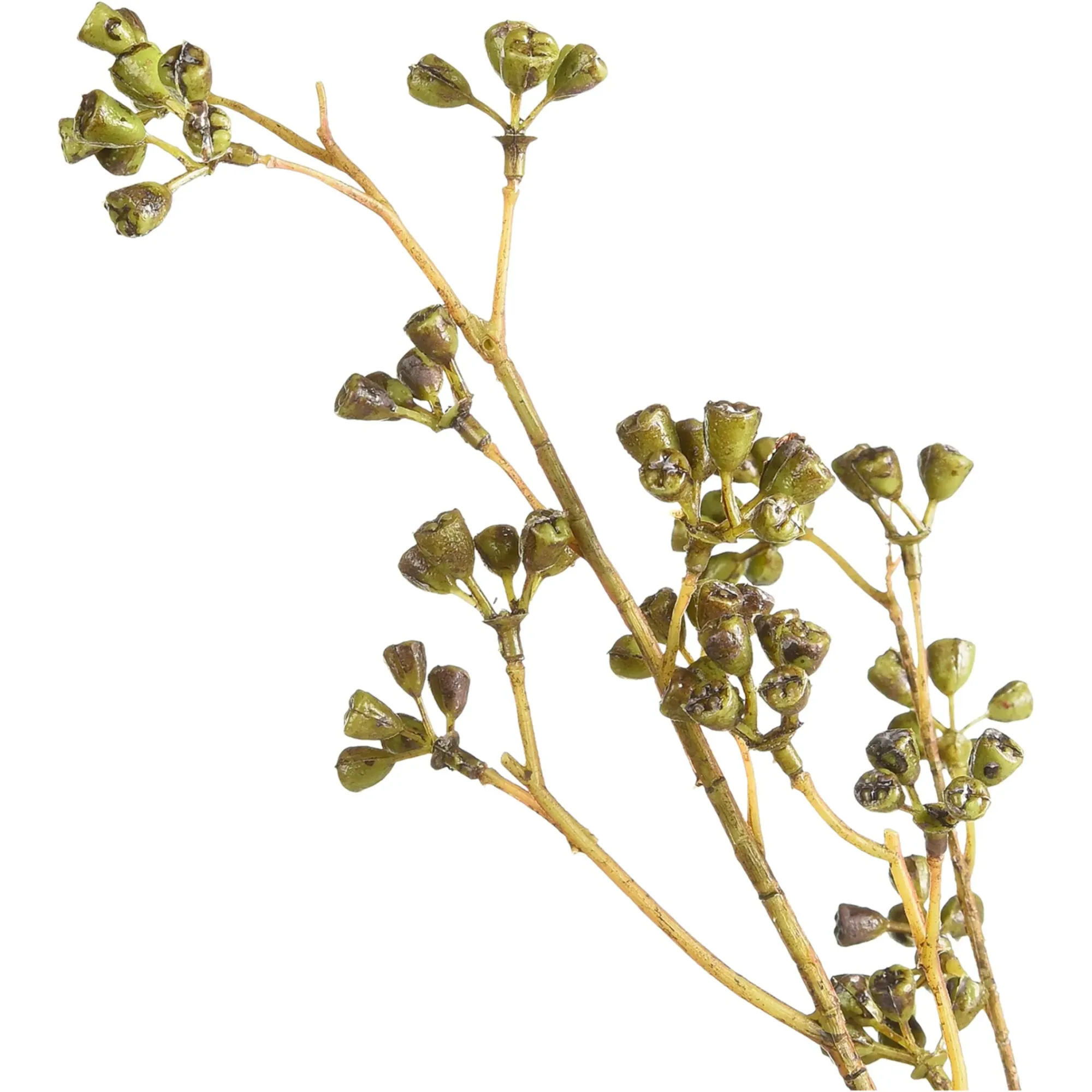 Sale Depot Kunstzweig Eukalyptus-Knospe