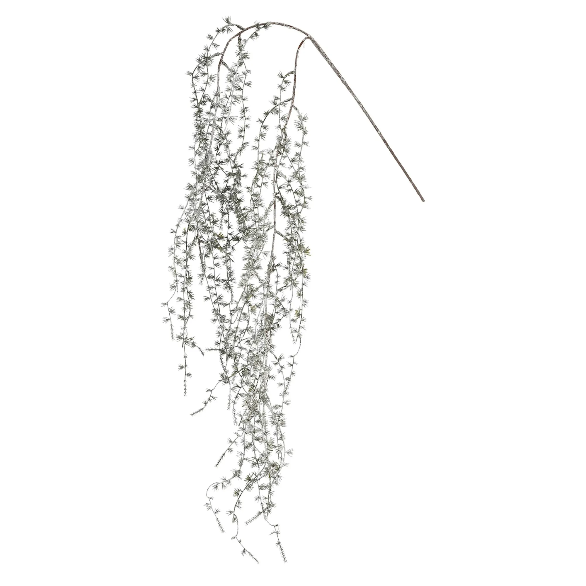 Kunstzweig Larche^Depot Clearance