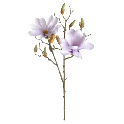 Cheap Depot Kunst-Zweig Magnolie