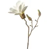 Discount Depot Kunst-Zweig Magnolie