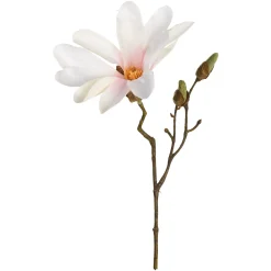 Online Depot Kunst-Zweig Magnolie