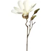 Hot Depot Kunst-Zweig Magnolie