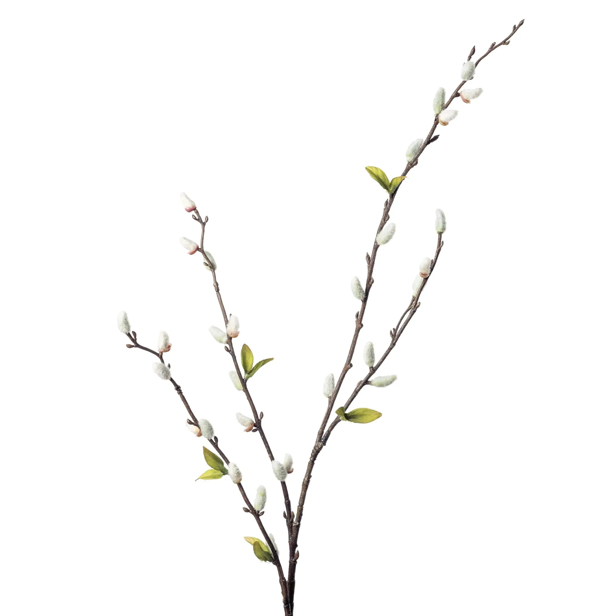 Cheap Depot Kunstzweig Palmkatzchen Mit Blattern