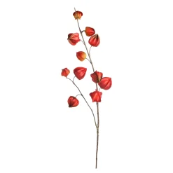 Kunstzweig Physalis^Depot Store