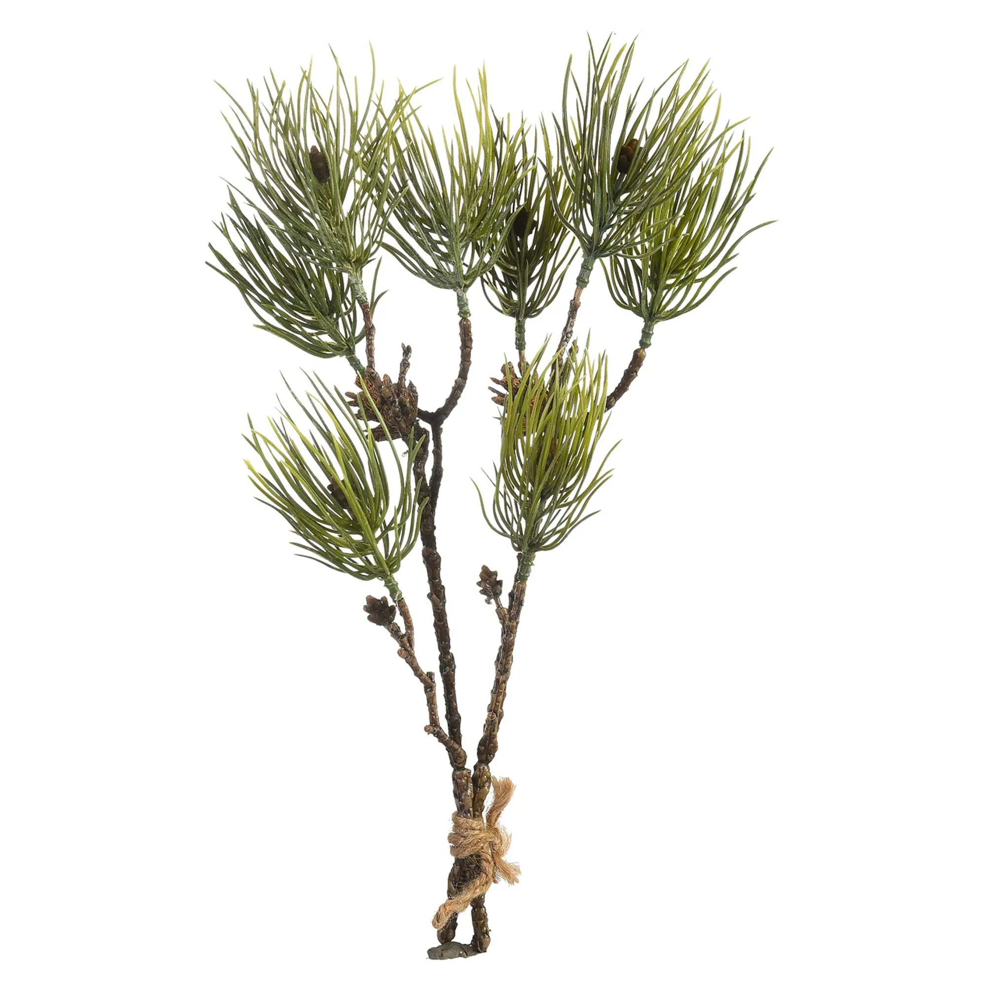Kunst-Zweig Pinie^Depot Clearance