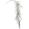 Fashion Depot Kunstzweig Tillandsia, Hangend
