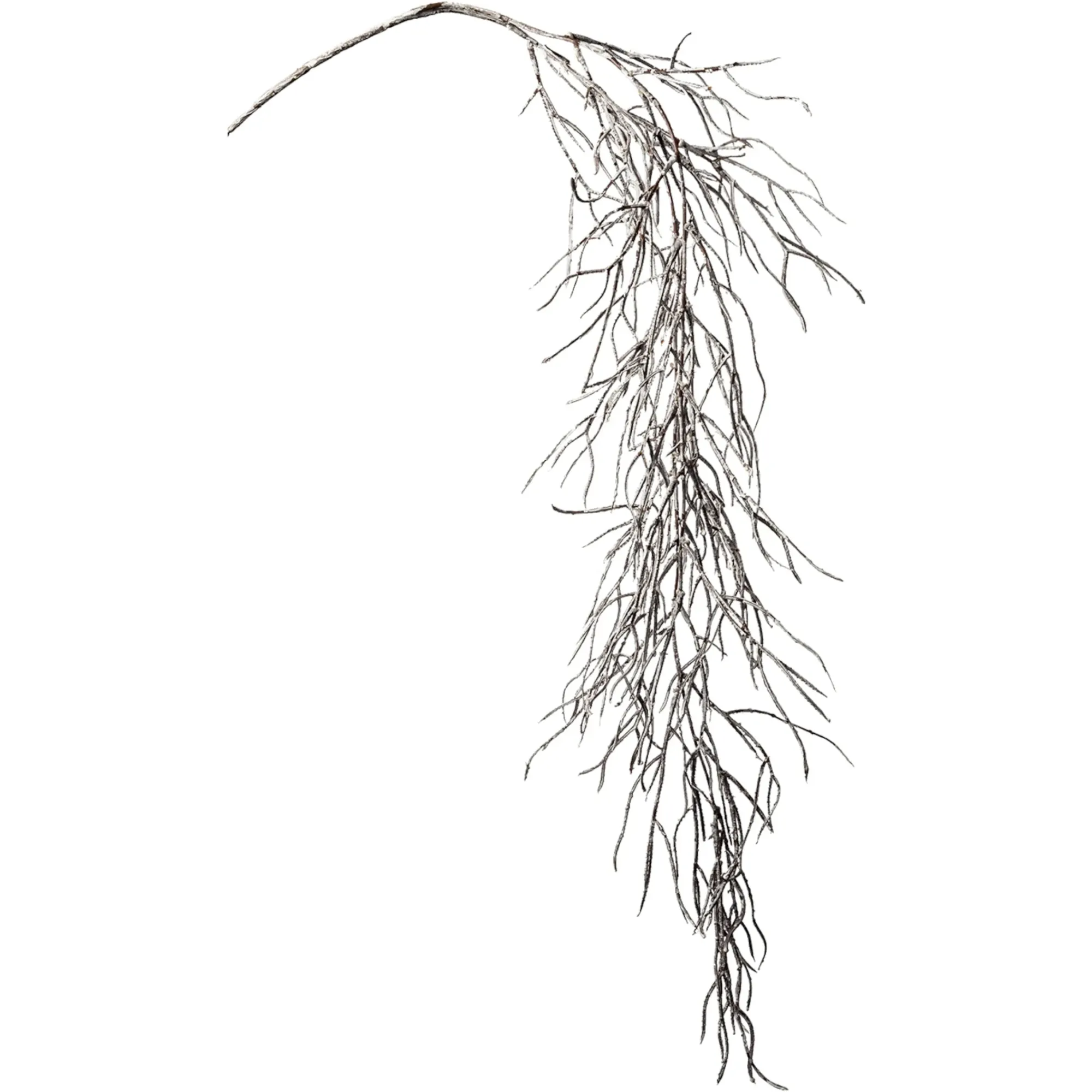 Fashion Depot Kunstzweig Tillandsia, Hangend