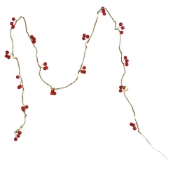Led-Lichterkette Berries^Depot Best