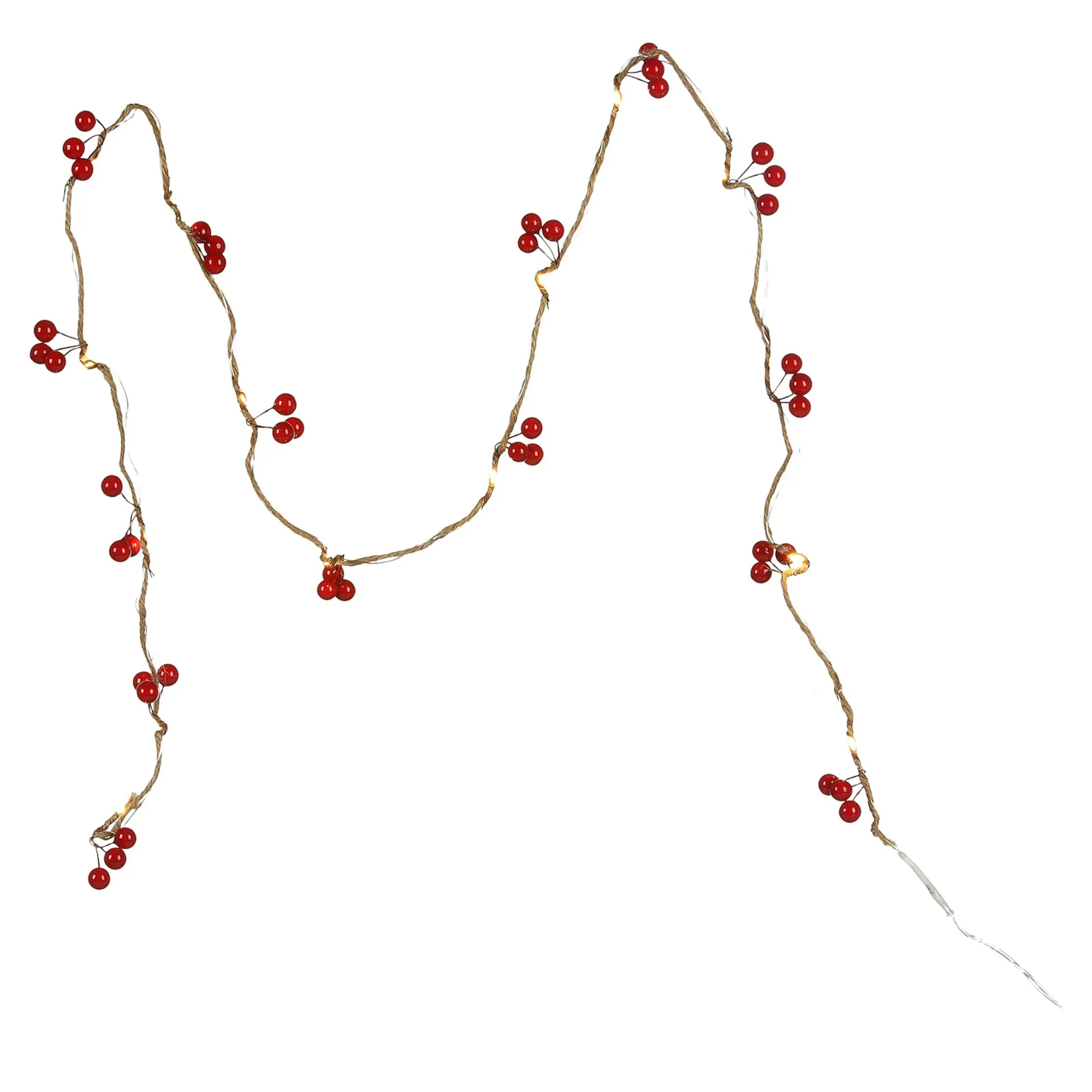 Led-Lichterkette Berries^Depot Best