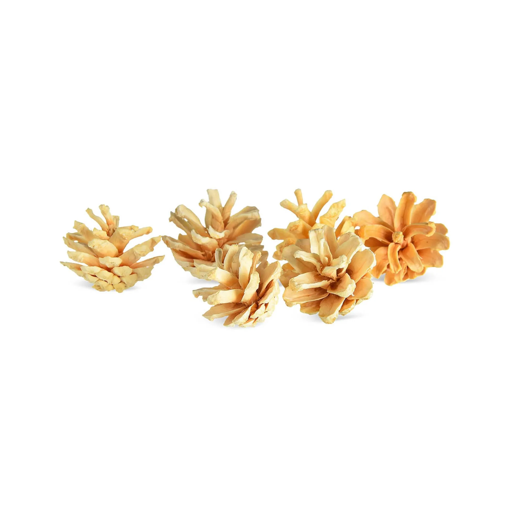 Mini-Deko-Kiefernzapfen^Depot Sale
