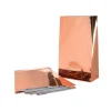 Papiertuten Metallic^Depot Clearance