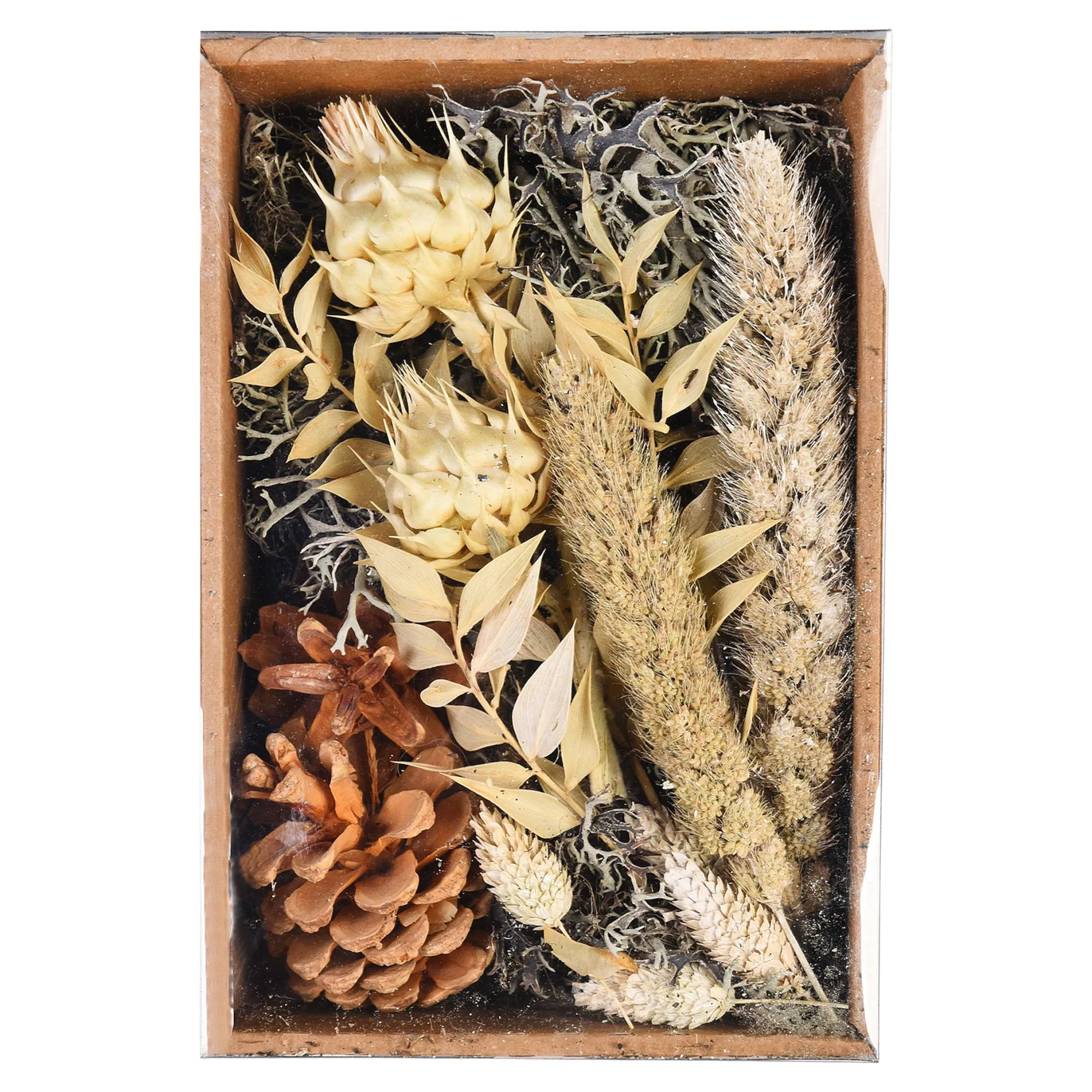 Potpourri Natural^Depot Hot