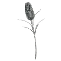 Protea Ca. 70Cm, Silber^Depot Sale
