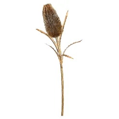 Protea Ca. 70Cm, Silber^Depot Discount