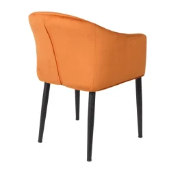 Fashion Depot Samt-Armlehnstuhl Nienke