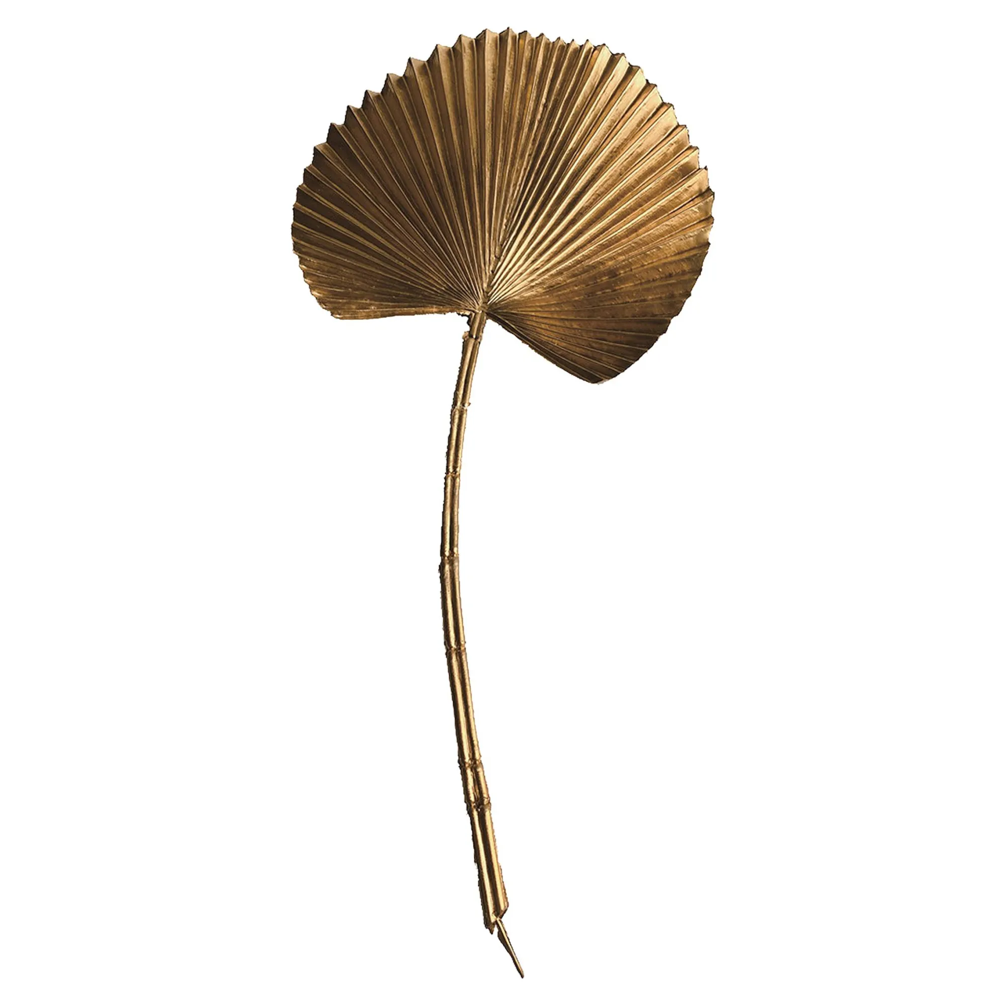 Stielblume Facherblattpalme Ca. 54Cm^Depot Store