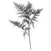 Stielblume Farn Glam Ca. 58Cm^Depot Online