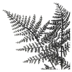 Stielblume Farn Glam Ca. 58Cm^Depot Online